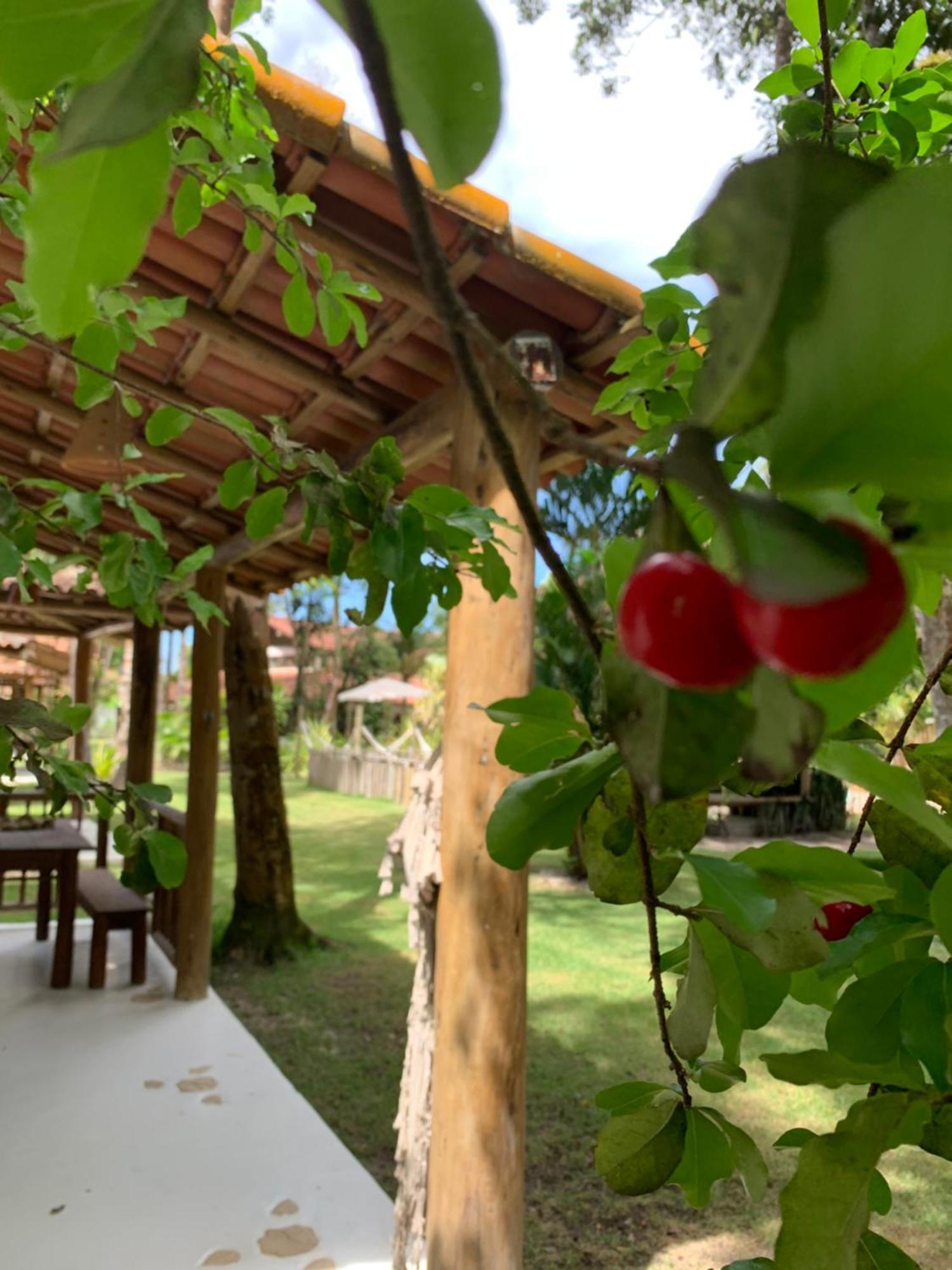 Cheiro Nativo - Chales & Pousada Trancoso Exterior foto